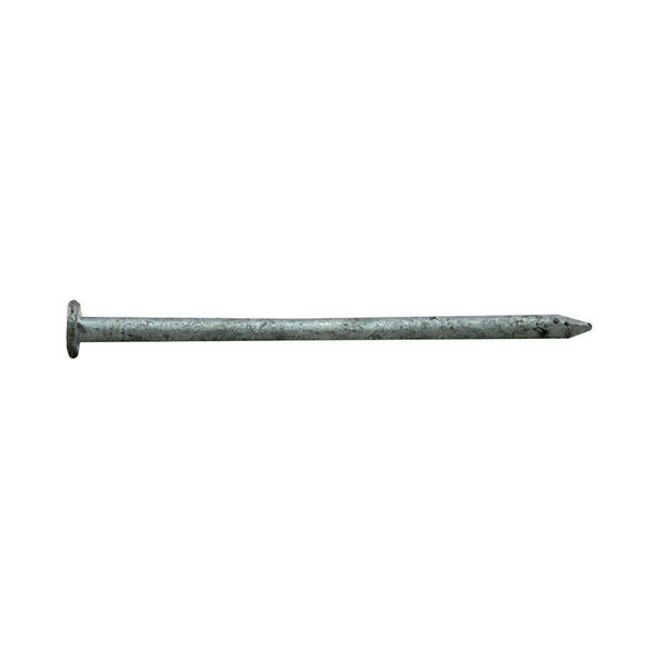 Pro-Fit Common Nail, 3-1/4 in L, 12D 0054185